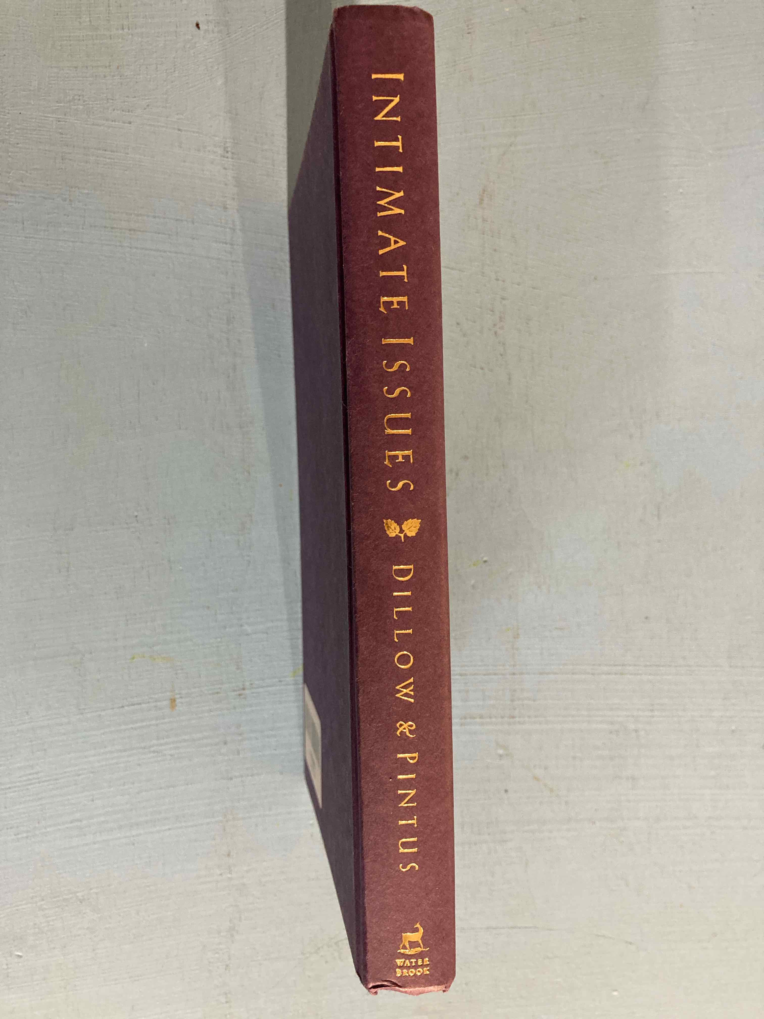 Waterbrook Burgundy Intimate Issues Book